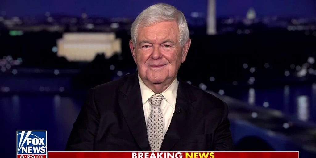Newt Gingrich calls attention to ‘last three great centers of resistance’ to Trump