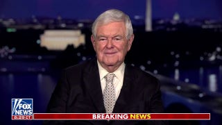 Newt Gingrich calls attention to ‘last three great centers of resistance’ to Trump - Fox News