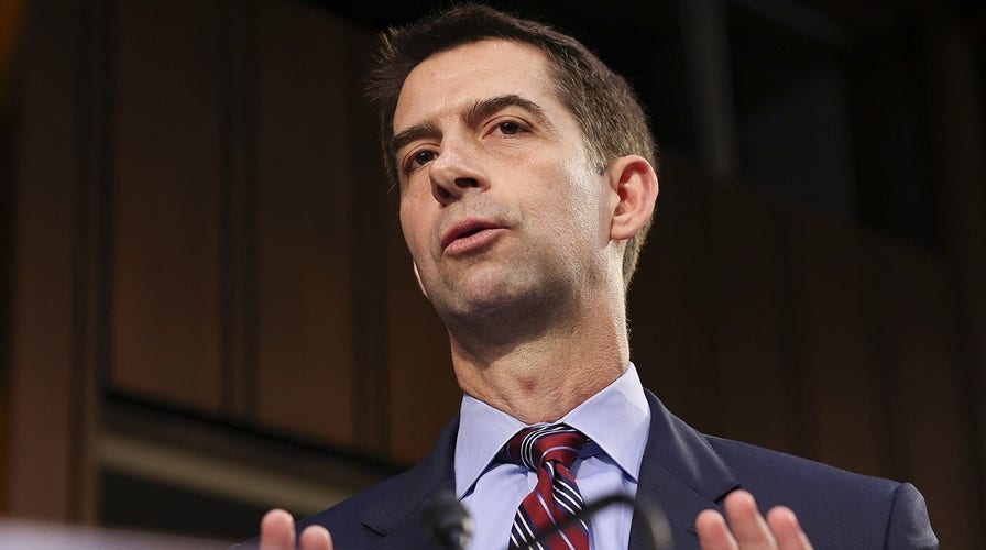 Sen. Cotton rips NYT for suggesting the American flag is divisive