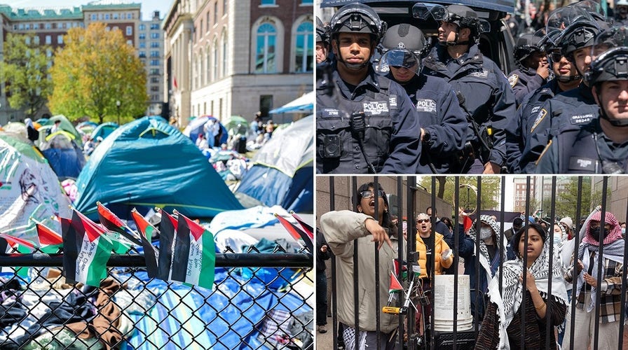 'Inmates are in charge of the asylum' as universities face anti-Israel protests: Rep. Virginia Foxx