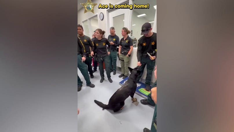 Police K-9 gets emotional welcome home after surviving shooting