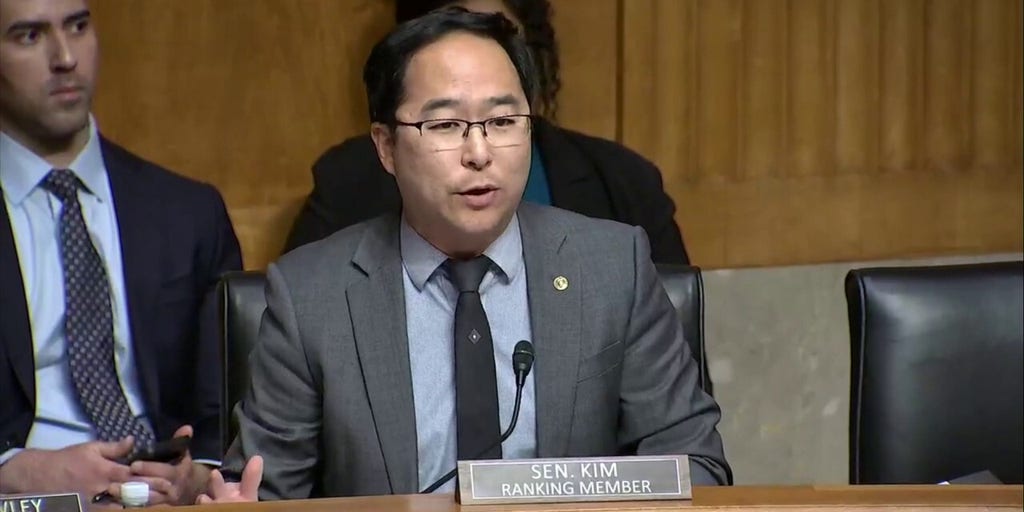 Dem Senator says questioning coordination, funding efforts of anti-ICE agitators 'delegitimizes' their anger