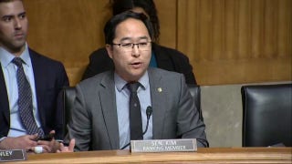 Dem Senator says questioning coordination, funding efforts of anti-ICE agitators 'delegitimizes' their anger - Fox News