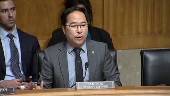 Dem Senator says questioning coordination, funding efforts of anti-ICE agitators 'delegitimizes' their anger