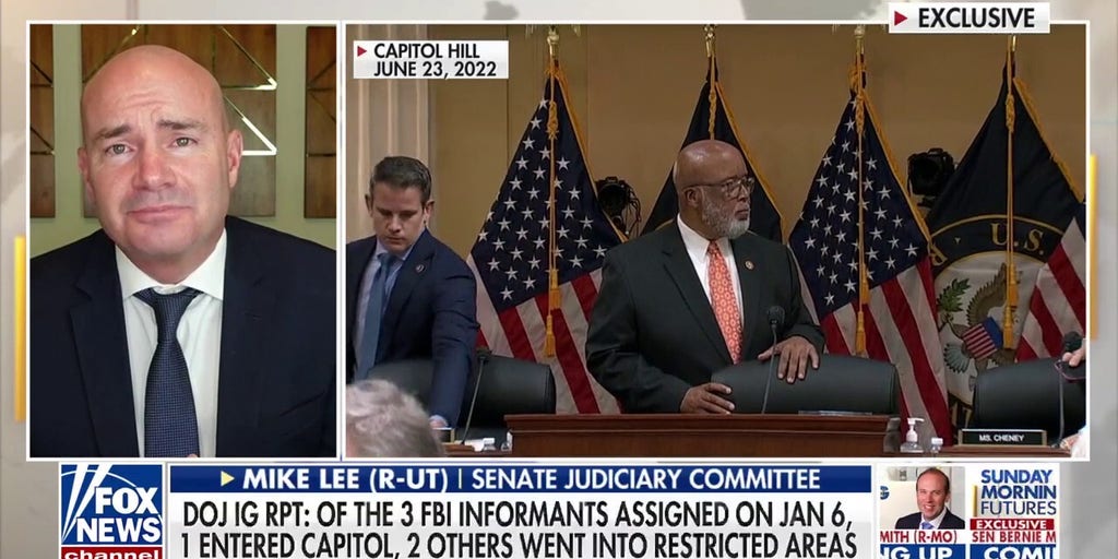 Inspector General report confirms questions many had on Jan 6, says Sen Mike Lee