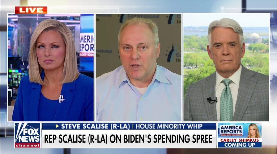 Scalise: Democrats 'all in on crazy idea' to defund police 