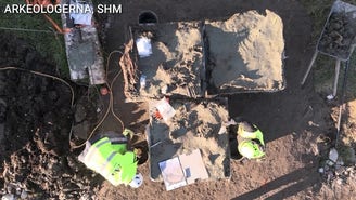 Stone Age dog buried with 5,000-year-old dagger found in Sweden