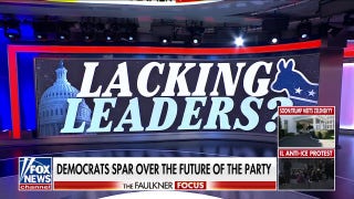 Americans stumped when asked who is leading the Democratic Party: 'That's a hard one'