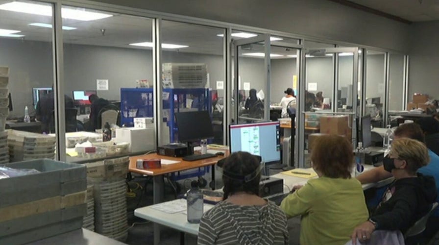 Trump campaign alleges widespread voter fraud in key states