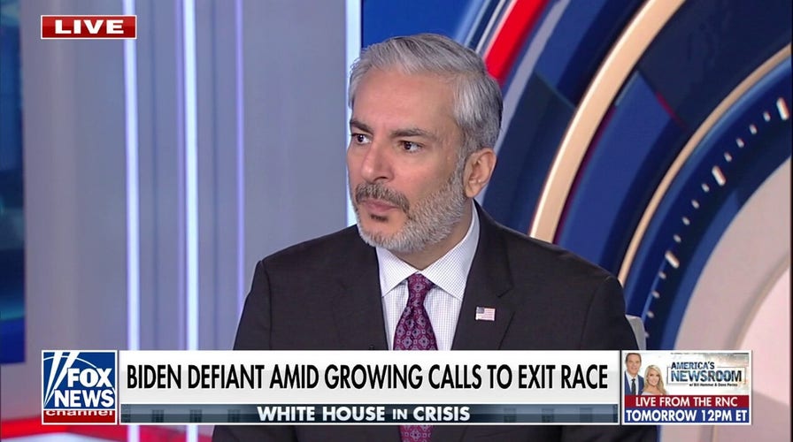 Majority of the American people want a fresh face, Democratic strategist says