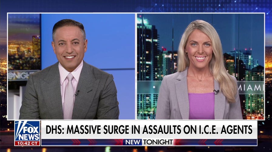 It's 'disgusting' that ICE agents are being attacked for doing their job, says Nicole Parker