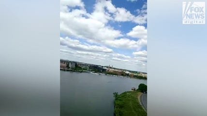DC protester reveals view from top of nation's capital