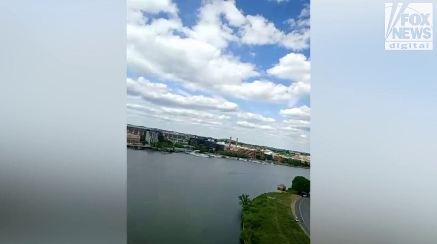 DC protester reveals view from top of nation's capital