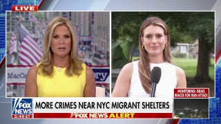 Children's recreation area in NYC has been 'plagued with a lot of crime' from migrant shelters: Alexis McAdams - Fox News