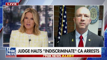 DHS is doing 'everything they can to do their jobs,' says one California DA