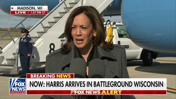 Kamala Harris argues Trump's rifles comments about Liz Cheney 'must be disqualifying'