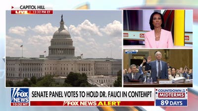 Fauci held in contempt by Senate panel as states launch probes