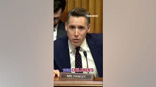 Sen. Hawley CONFRONTS Netflix CEO on 'trans themes'