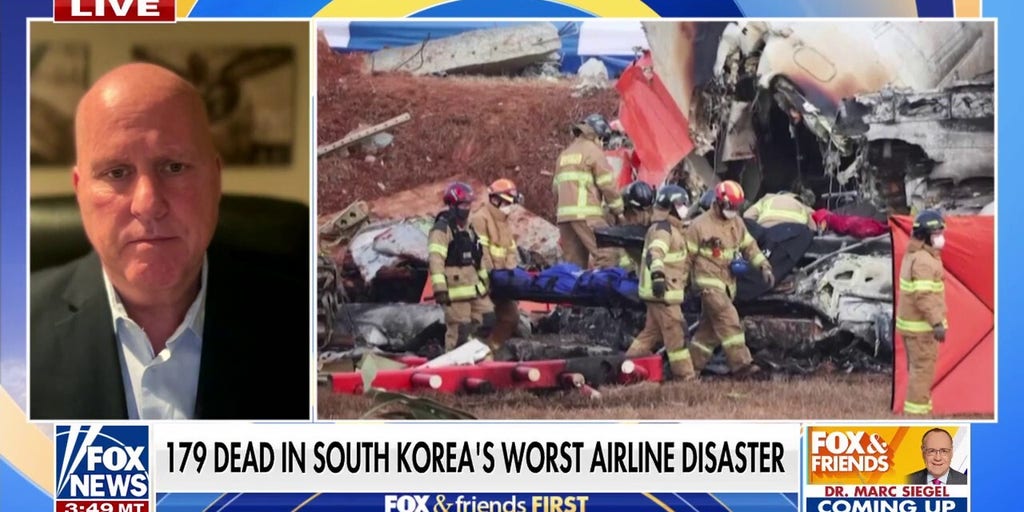 Aviation expert raises questions on deadly South Korea airline disaster