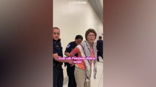Code Pink confronts Defense Secretary Austin about Israel - Fox News