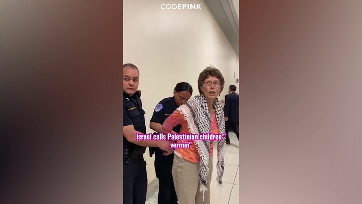 Code Pink confronts Defense Secretary Austin about Israel