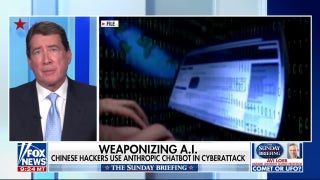 Sen. Hagerty highlights 'serious threats' AI poses as US, China competition escalates