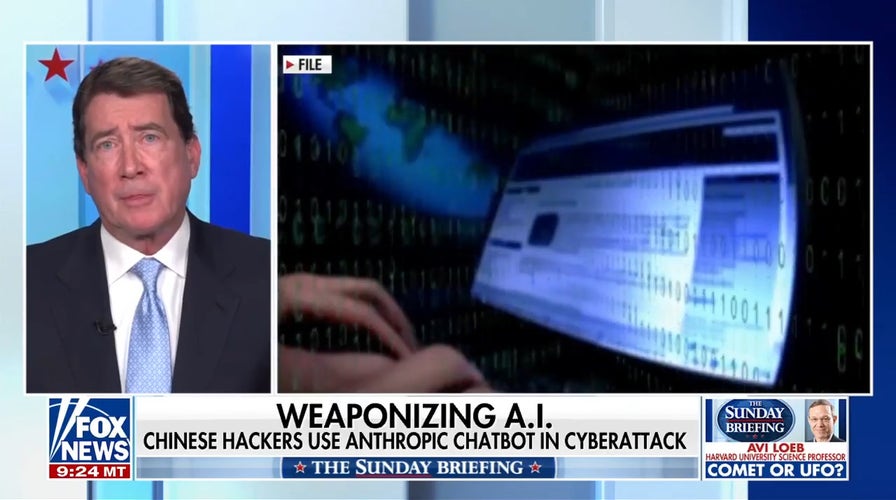 Sen. Hagerty highlights 'serious threats' AI poses arsenic US, China contention escalates