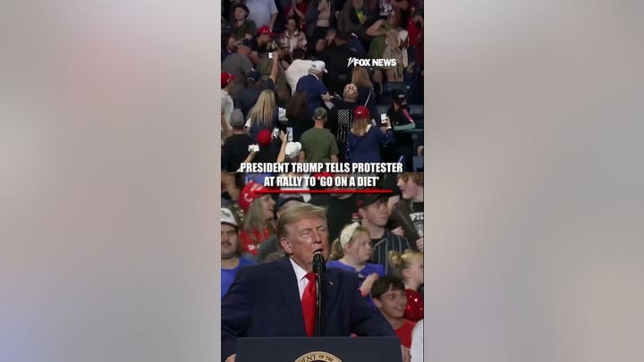 Trump takes aim at protestor