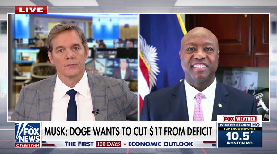 Scott: DOGE's spending cuts are helping 'America win'