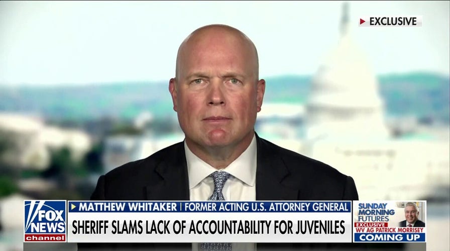 Dems’ soft-on-crime policies incite the development of ‘lawless thugs’: Matthew Whitaker