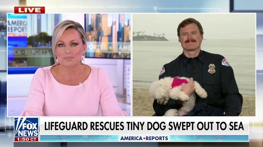 California lifeguard saves dog off coast of Long Beach