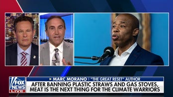 NYC mayor declares war on meat and dairy to save the planet