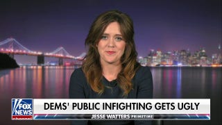 Kamala Harris 'completely misunderstood' the pain of the American people, says former DNC volunteer - Fox News