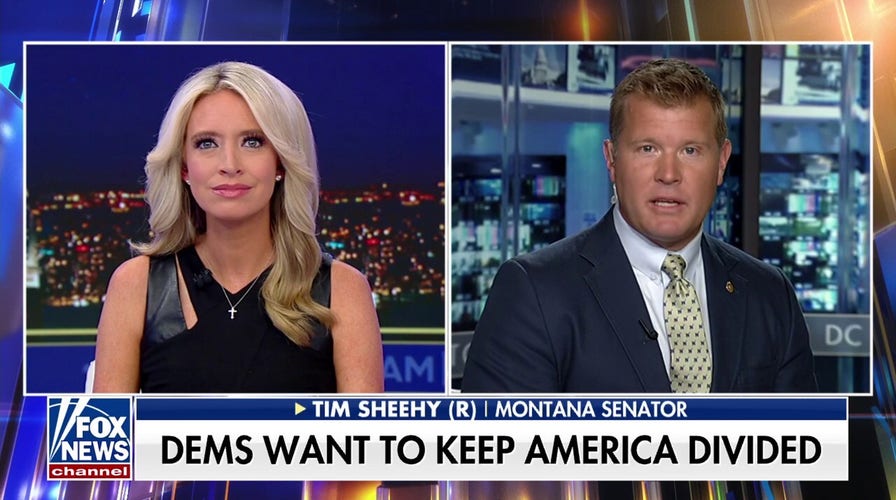 Democrats spent the last four years shredding the Constitution, GOP lawmaker says