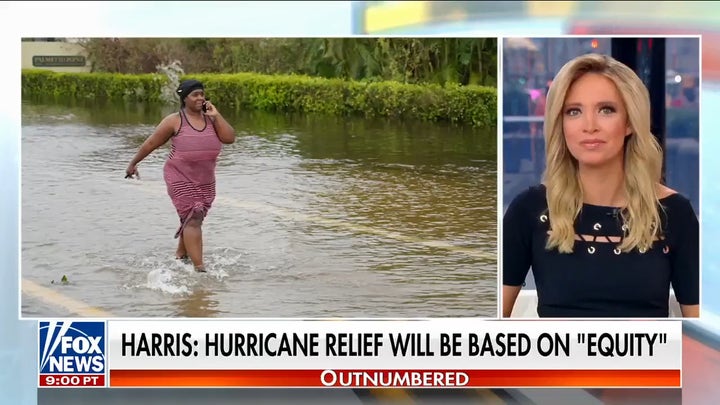 McEnany: I could not believe Kamala Harris' equity remark