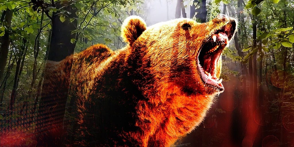 Florida bill would allow residents to kill 'crack bears' in self