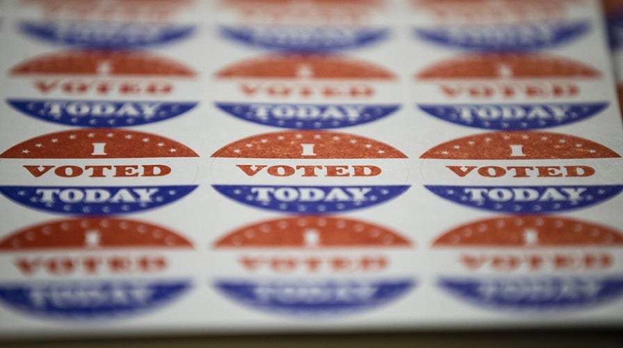 Experts warn OmniBallot online voting platform is vulnerable to hackers