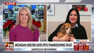 Michigan shelter gives pets a special Thanksgiving Day feast - Fox News