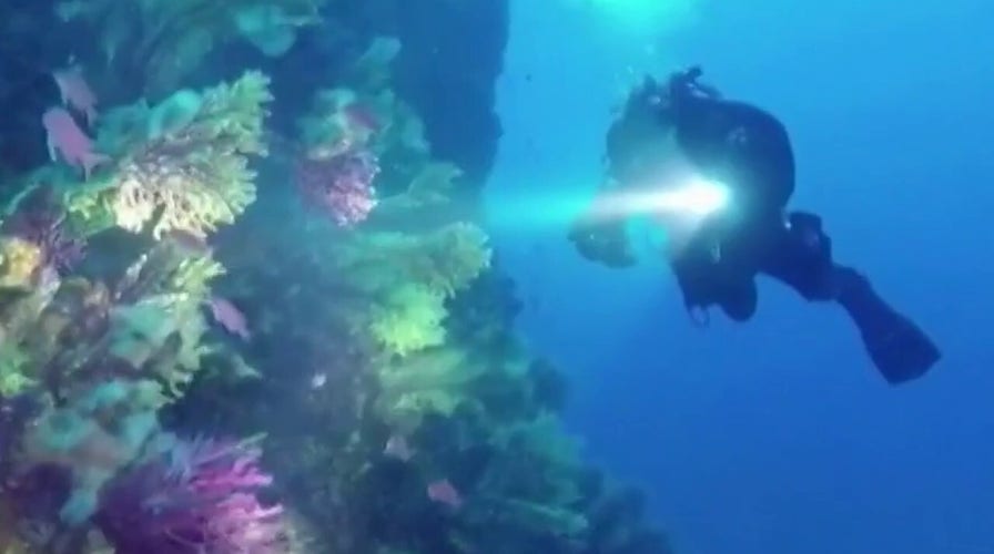 How Europeans are vacationing in the age of COVID-19