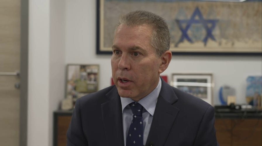 Israeli UN ambassador appalled at Hamas support in NYC; grateful for Americans who support Israel