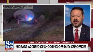 Blue state politicians repeatedly allowed criminal migrants to run rampant through American cities: Ben Domenech - Fox News