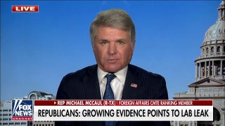 Rep. McCaul: China was involved in the ‘greatest cover-up in human history’ - Fox News