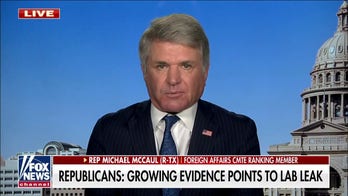 Rep. McCaul on House GOP's bombshell Wuhan lab report: 'Greatest cover-up in human history'