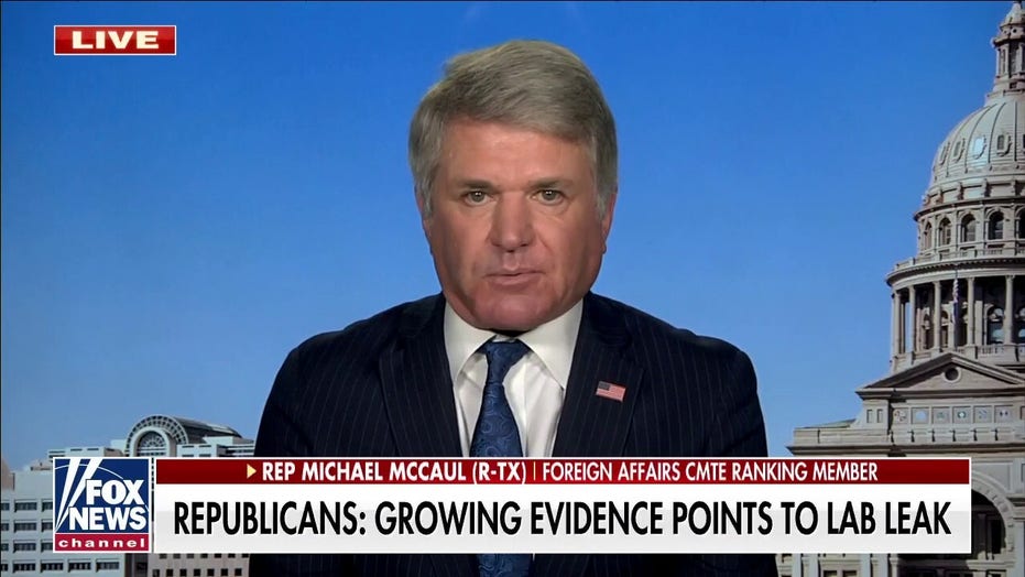 Rep. McCaul on House GOP’s bombshell Wuhan lab report: ‘Greatest cover-up in human history’