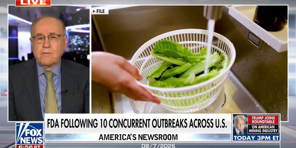 US sees surge in foodborne illness outbreaks: How testing has advanced