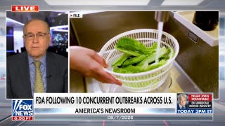 US sees surge in foodborne illness outbreaks: How testing has advanced - Fox News