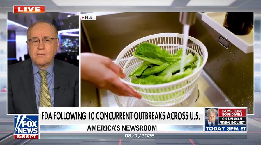 US sees surge in foodborne illness outbreaks: How testing has advanced
