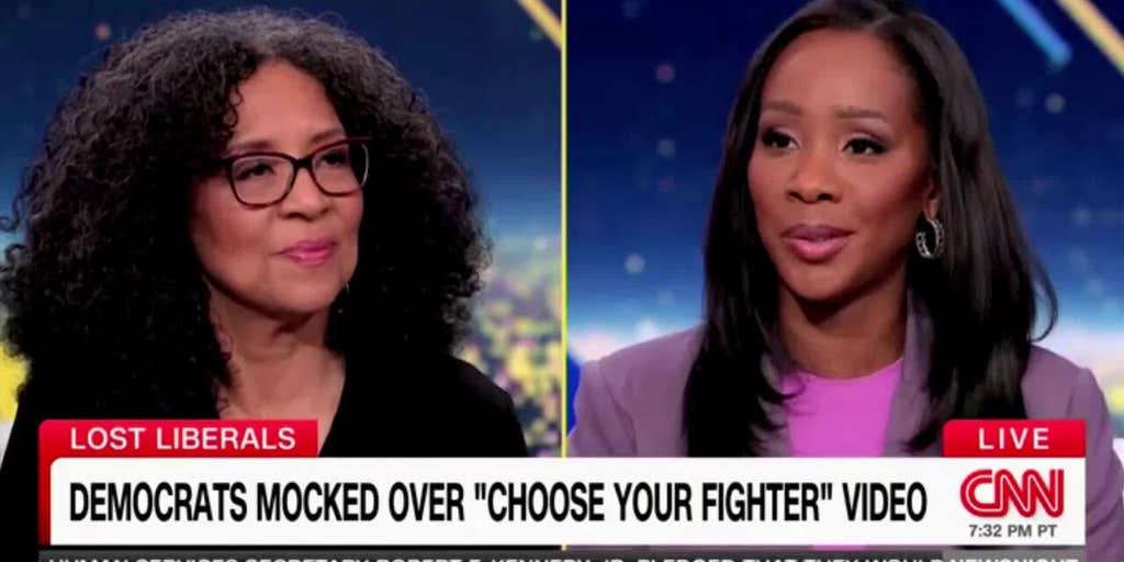 CNN panel shreds Dems' cringeworthy TikTok video