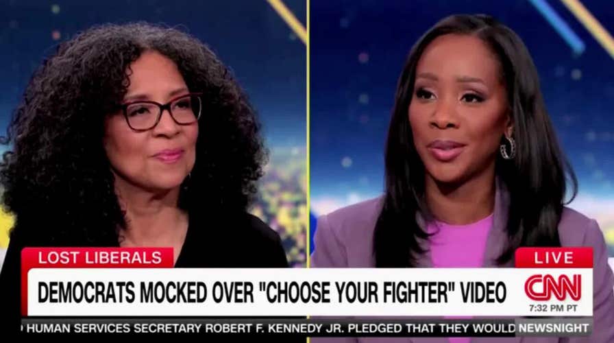 CNN panel shreds Dems' cringeworthy TikTok video