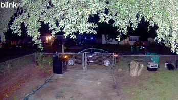 Florida woman mauled in dog attack